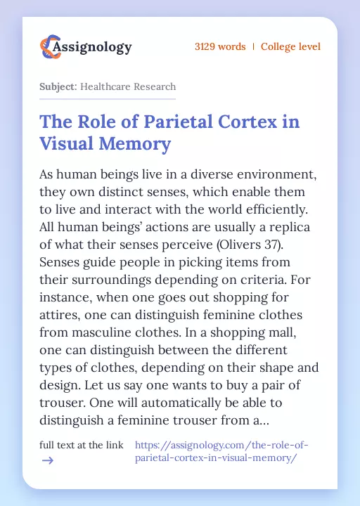 The Role of Parietal Cortex in Visual Memory - Essay Preview