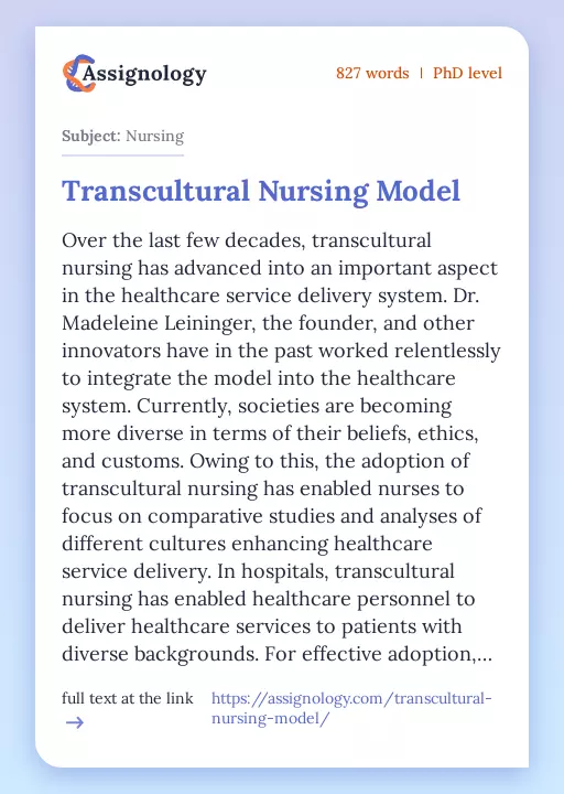 Transcultural Nursing Model - Essay Preview