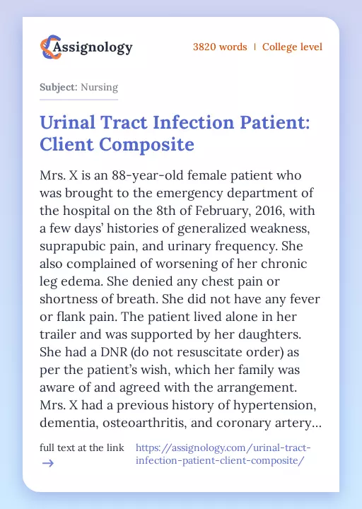 Urinal Tract Infection Patient: Client Composite - Essay Preview