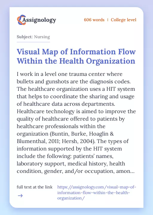 Visual Map of Information Flow Within the Health Organization - Essay Preview